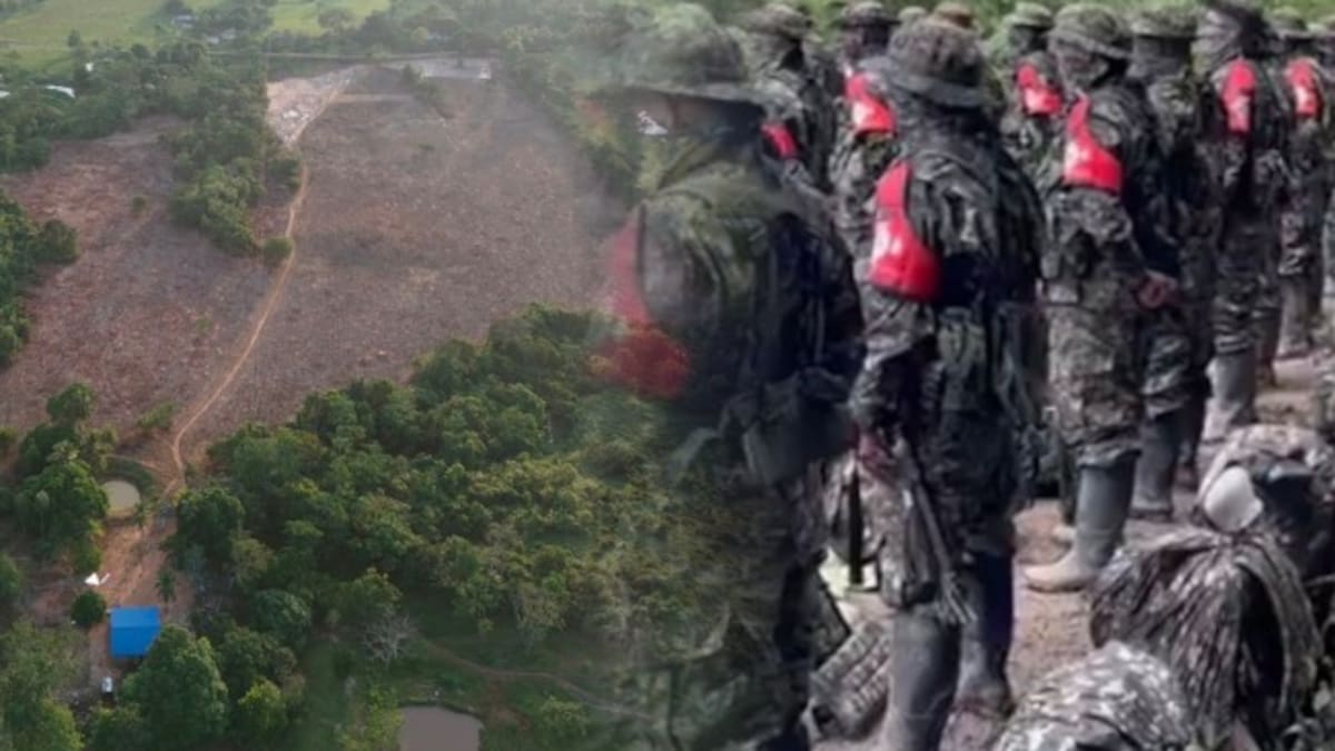 Consejo de Estado deja en firme las ZUT para el autodenominado Ejército Gaitanista de Colombia