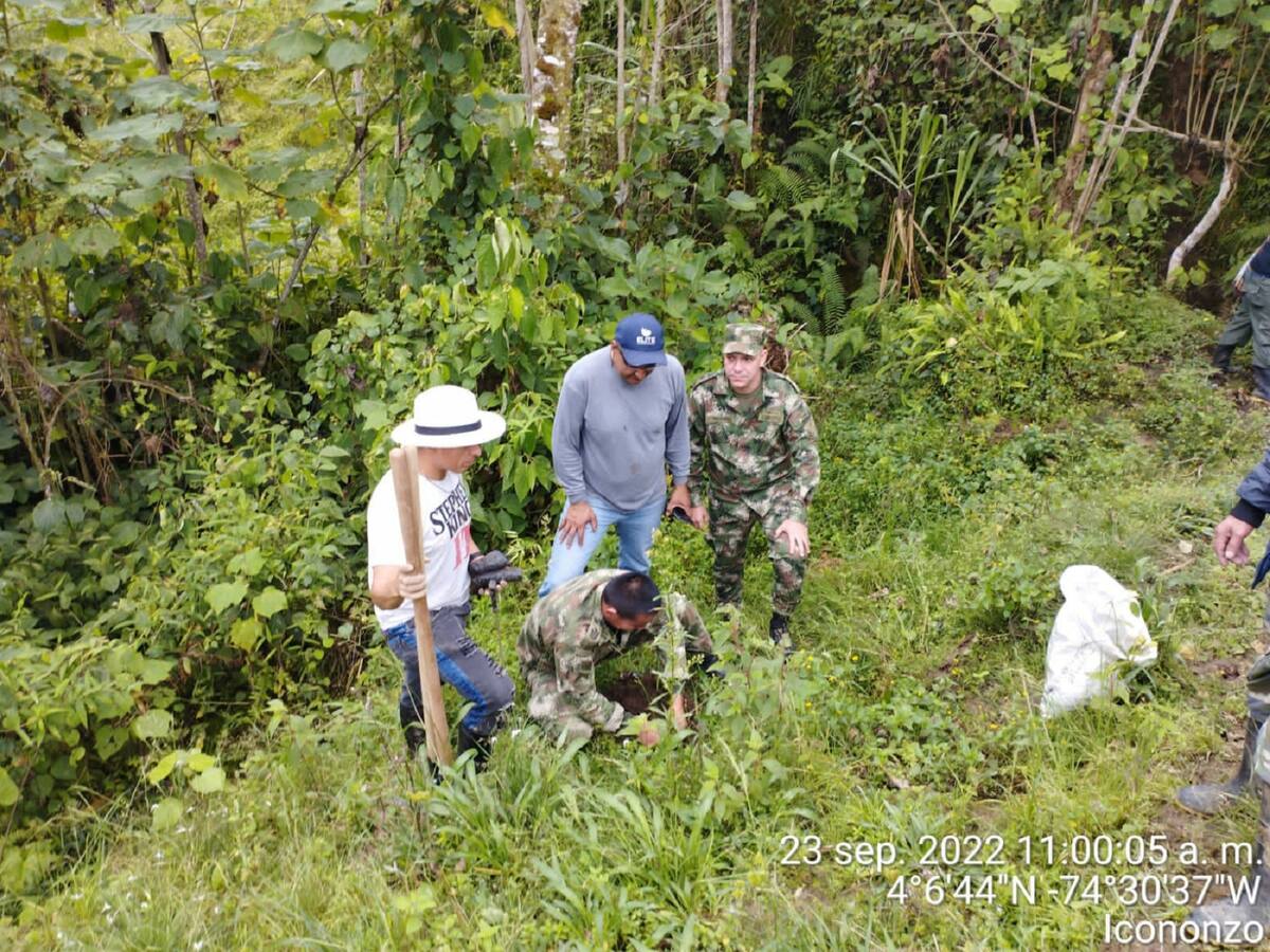 Más de 2000 árboles se sembraron en el Tolima para preservar el medio ambiente
