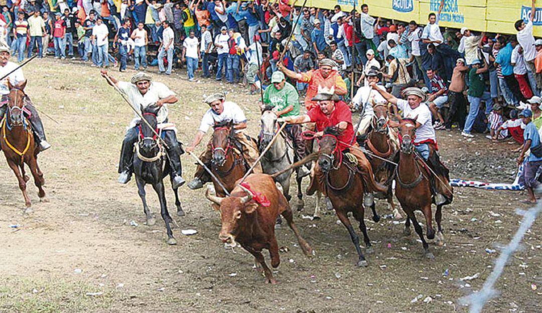 La Procuraduría pide al alcalde de Sincelejo suspender las Corralejas