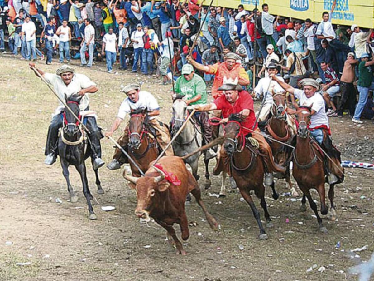 La Procuraduría pide al alcalde de Sincelejo suspender las Corralejas