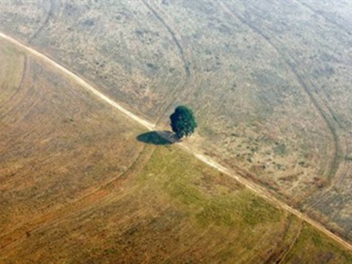 Alianza de países amazónicos para cuantificar la deforestación