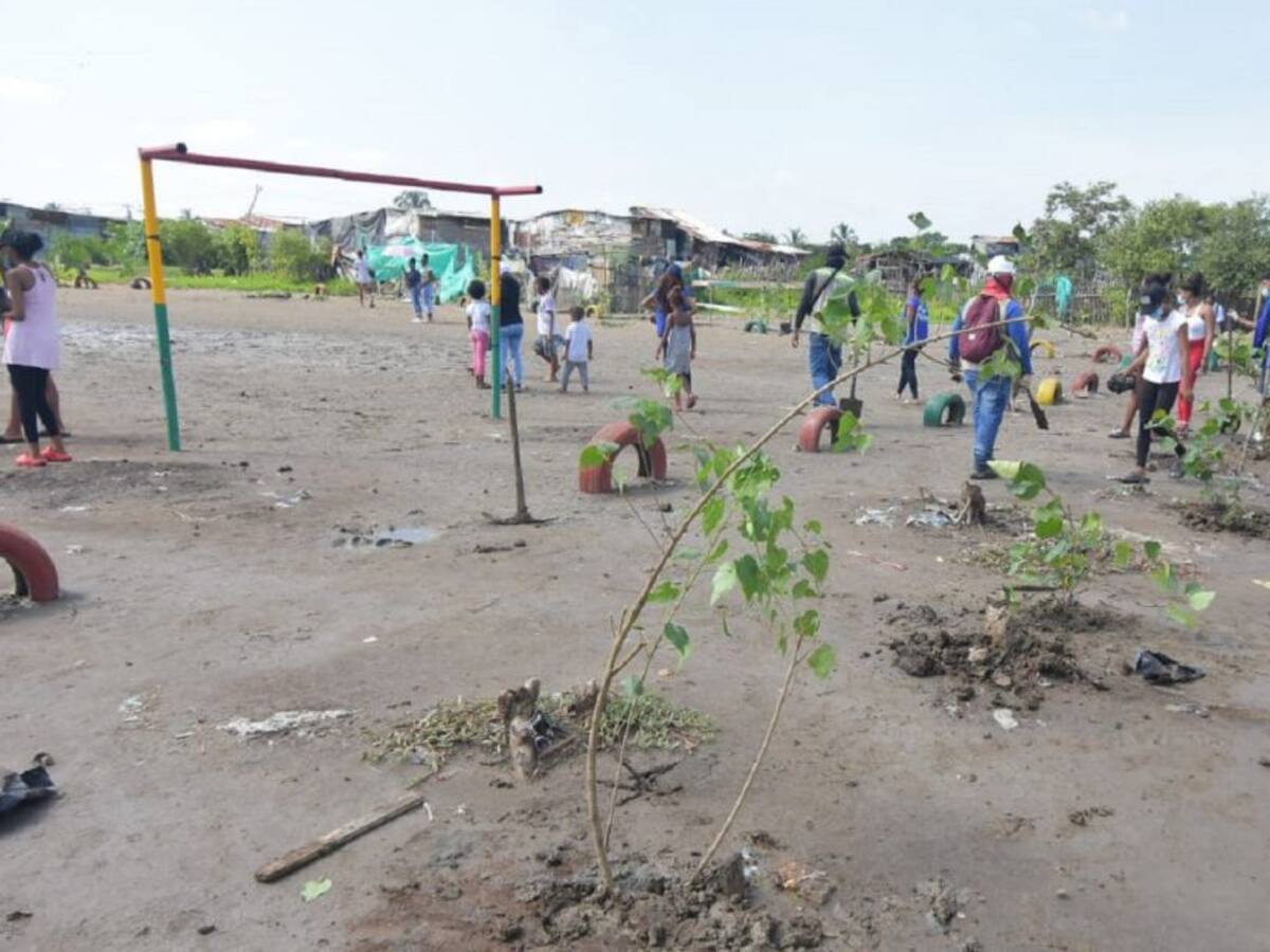 Plan de recuperación ambiental llegó al sector Zarabanda en Cartagena