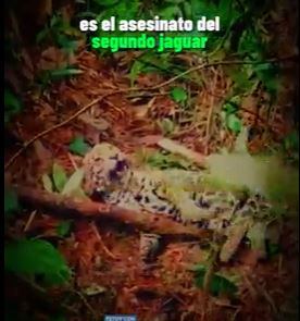 Captura video @Juandiegogj