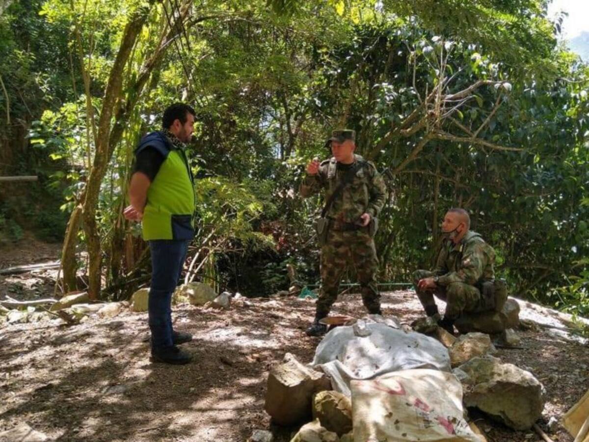 Autoridades desmontan minería ilícita en 7 hectáreas de Argelia y Abejorral