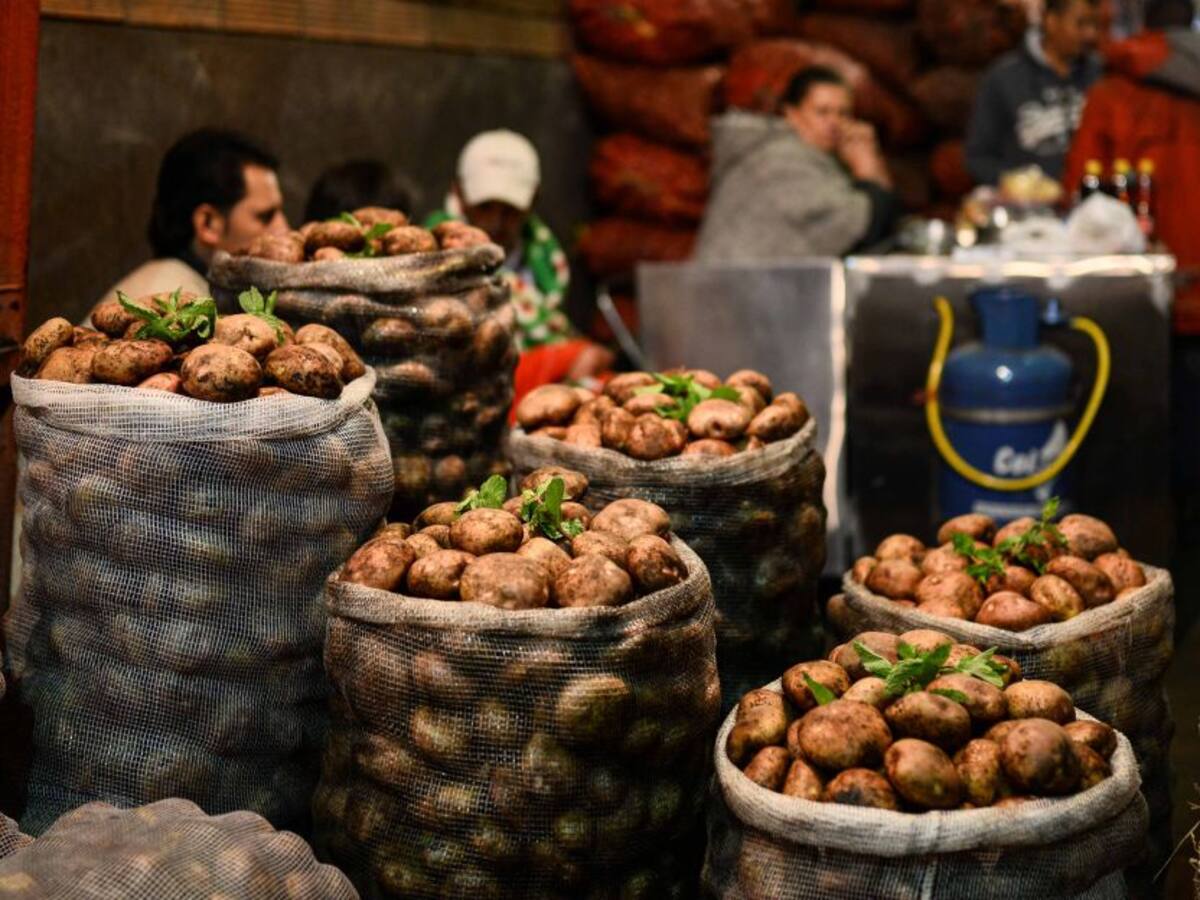 Agricultores garantizan normal abastecimiento de alimentos en el país