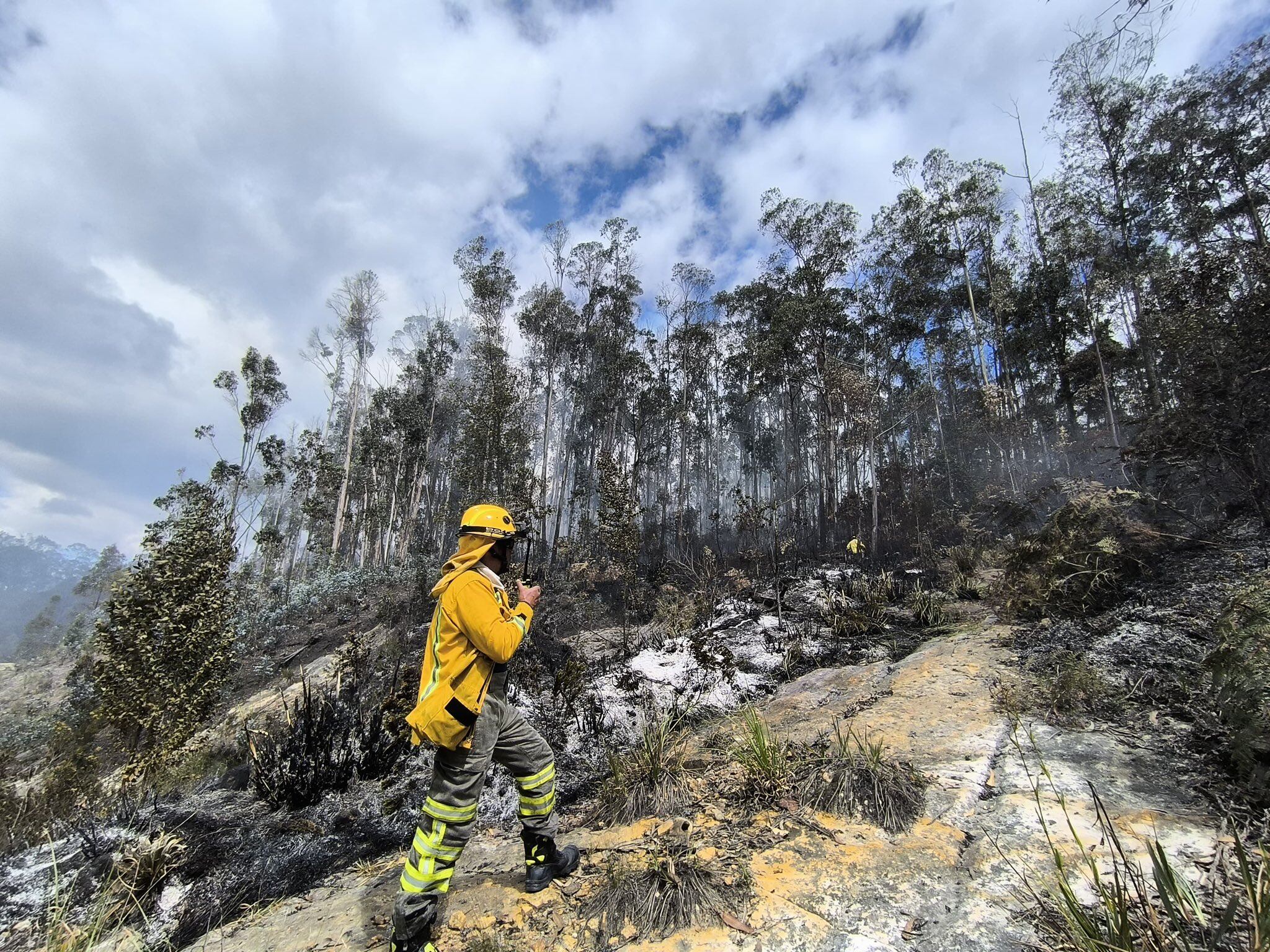 Incendio en el norte de Bogotá