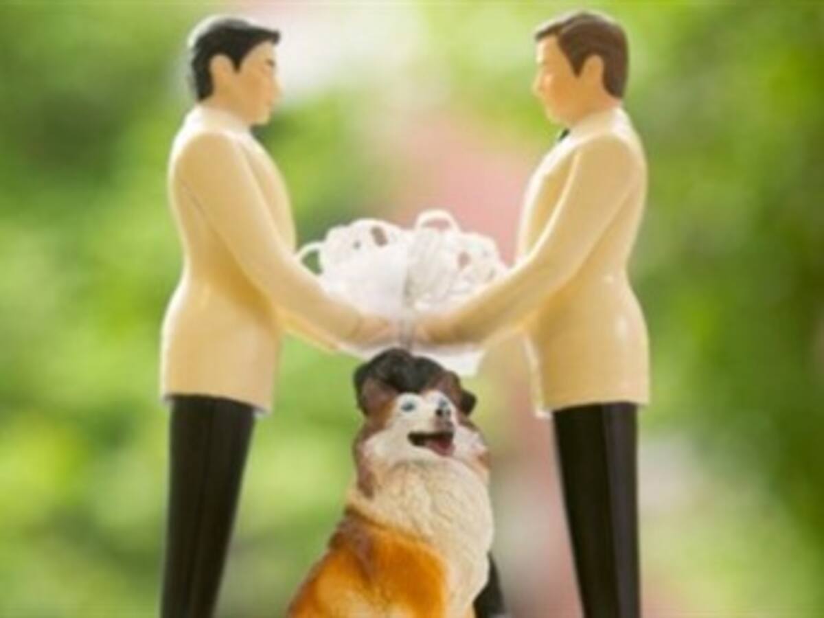 Con o sin ley uniremos parejas homosexuales: Notariado