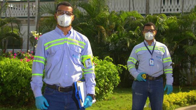 Revisiones periódicas