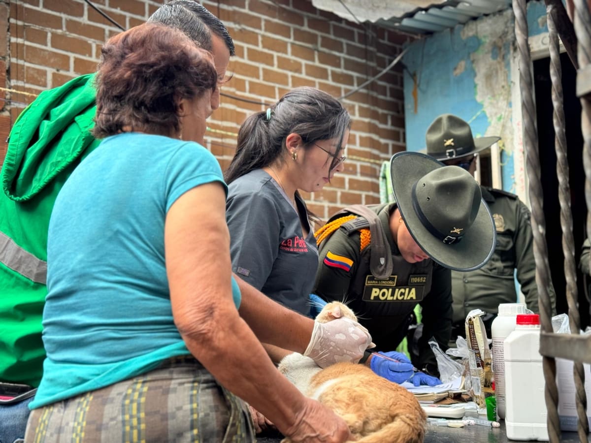 Brindan atención integral a 130 animales de compañía en El Sinaí, Santa Cruz