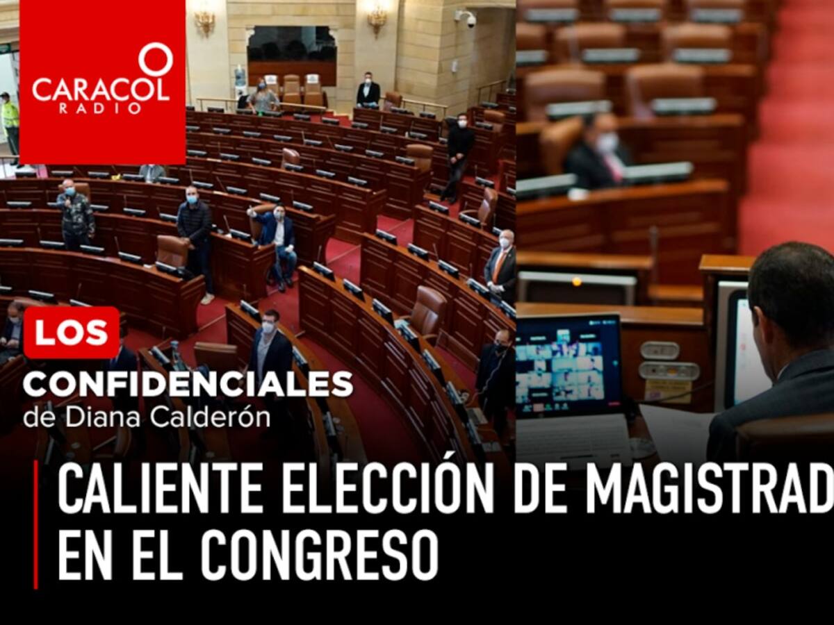 Caliente elección de Magistrado en el Congreso