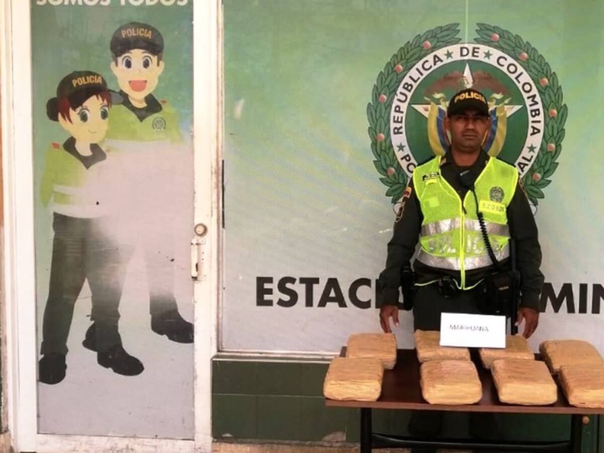 Incautan 10 mil dosis de marihuana en Terminal de Transporte de Cartagena