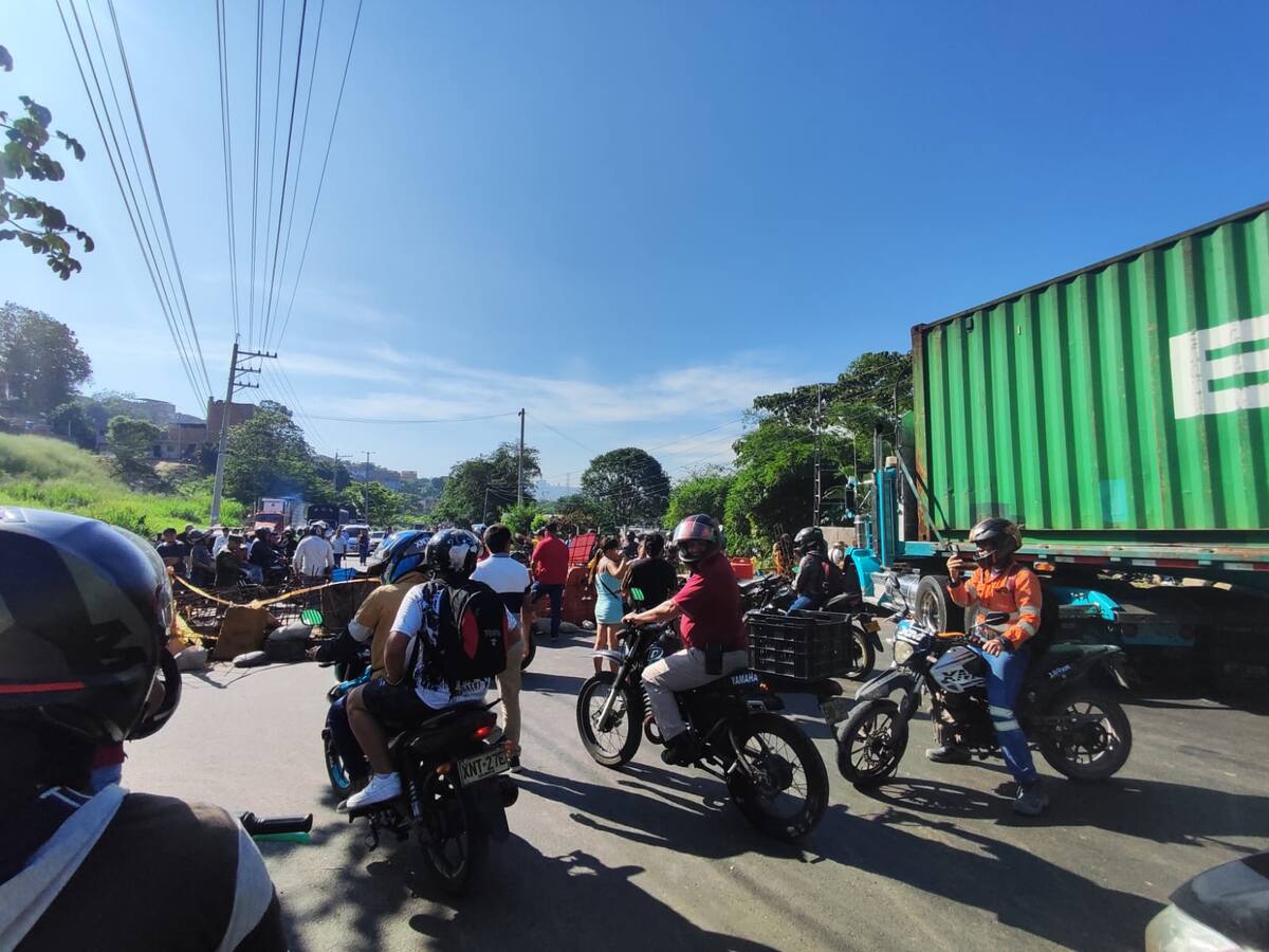 Nada que se abre paso en la vía al mar