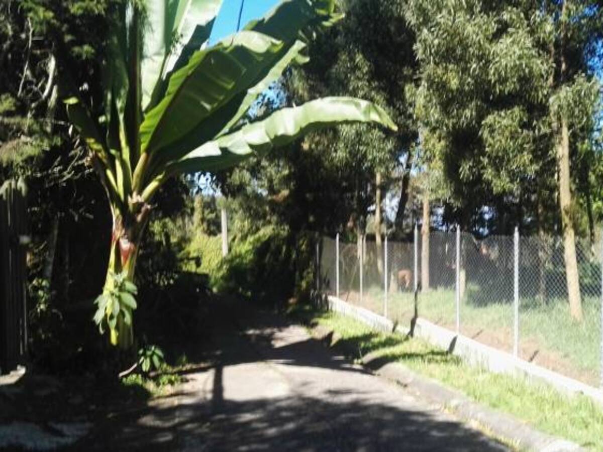 Alertan por suplantación de empleados de Alcaldía en fincas de Santa Elena