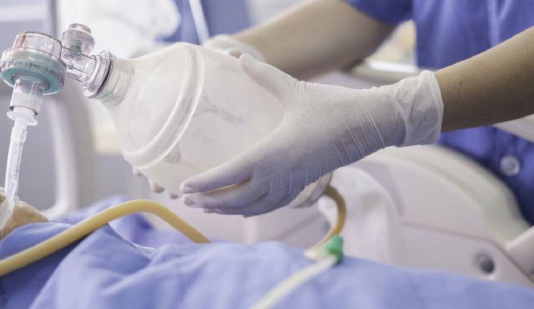 Imagen de referencia