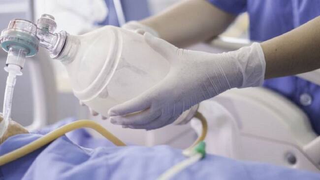 Imagen de referencia