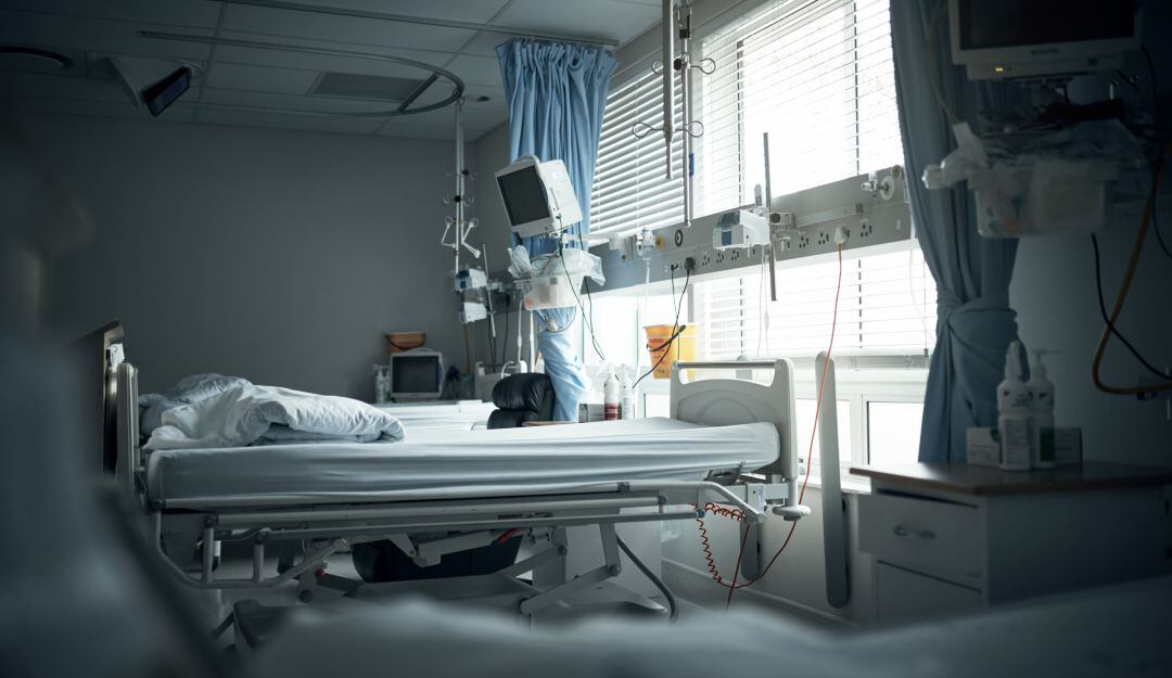 Imagen de referencia