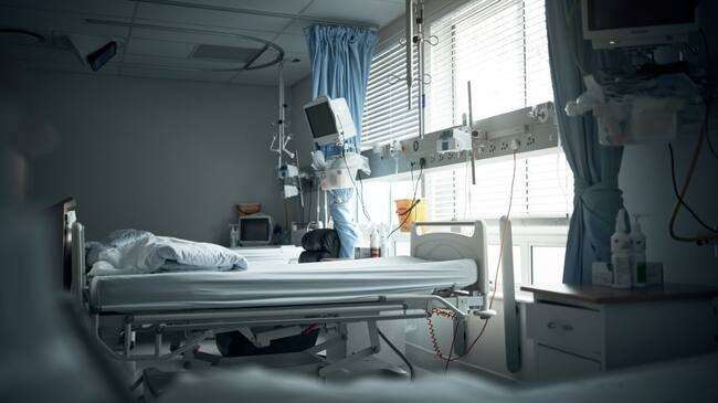 Imagen de referencia