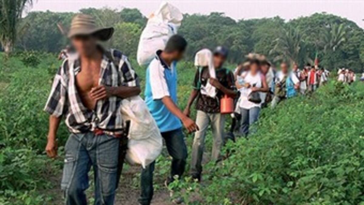 Gobierno continuará recuperación de terrenos baldíos en Las Pavas, a pesar de decisión sobre falsas víctimas
