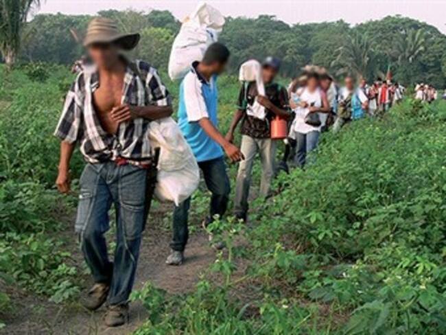 Gobierno continuará recuperación de terrenos baldíos en Las Pavas, a pesar de decisión sobre falsas víctimas