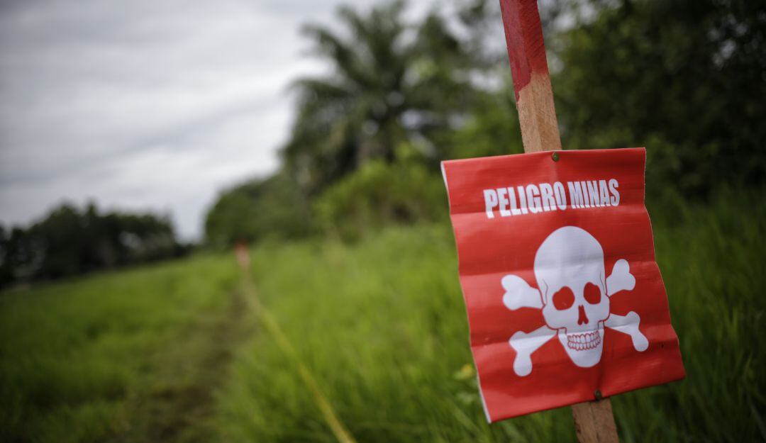 Imagen de referencia