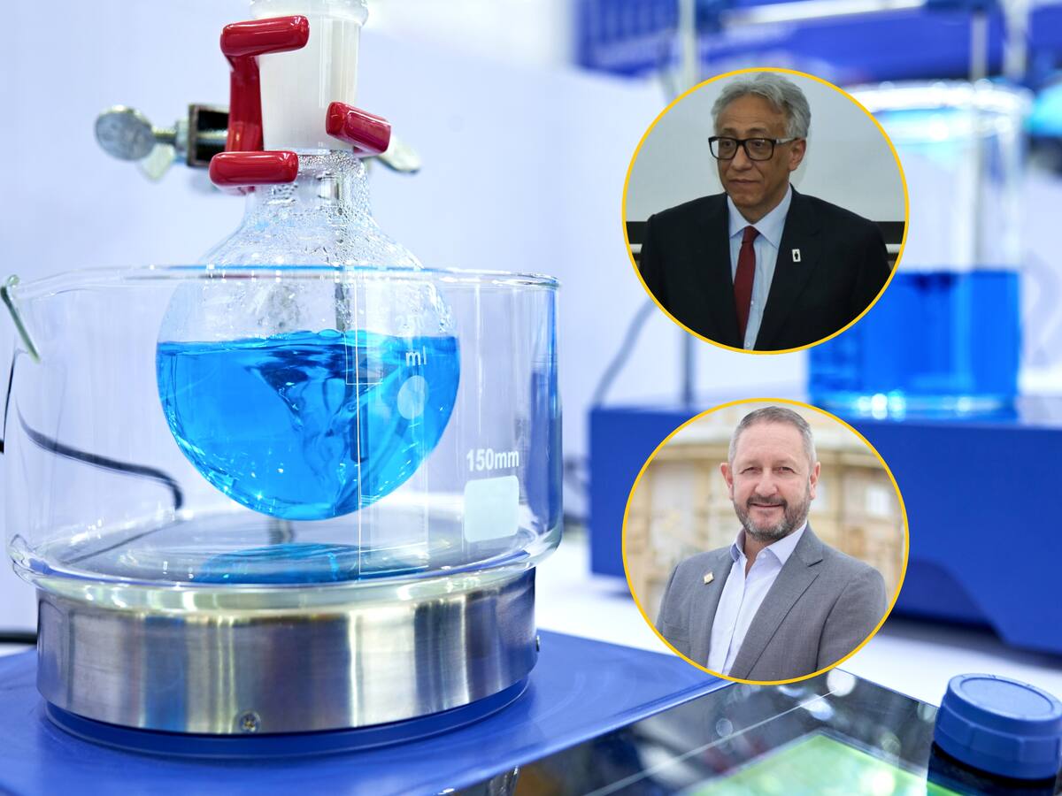 “Destruye el ADN, abre una puerta para desaparecer personas”: debate por polémica cremación con agua