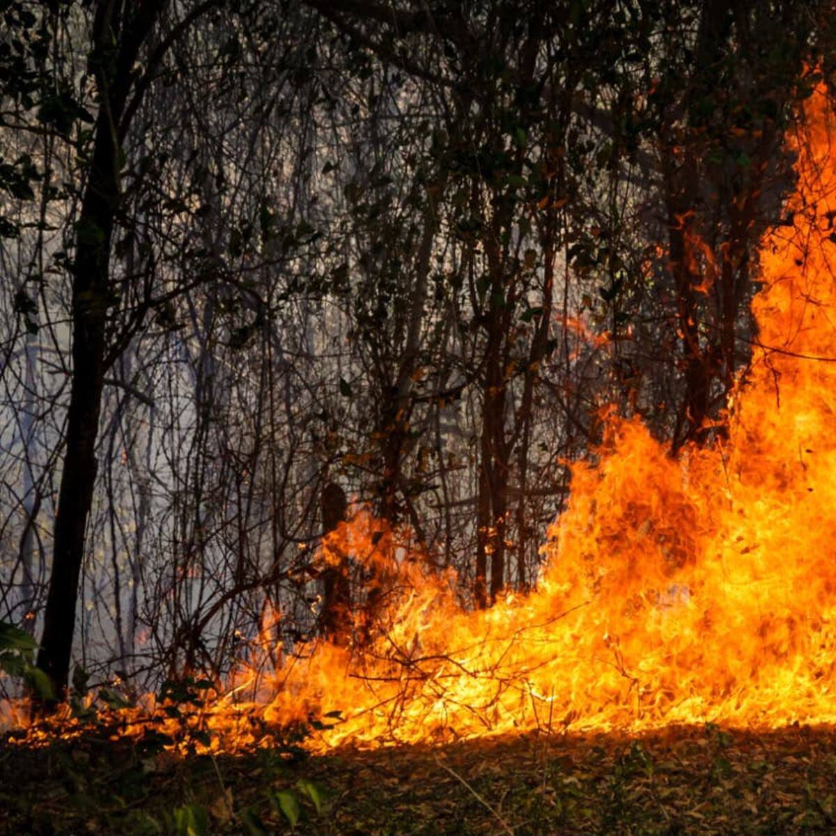 “Situación crítica que se desborda de las capacidades que tenemos”: alcalde de Coello por incendios
