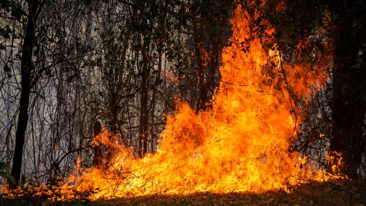 “Situación crítica que se desborda de las capacidades que tenemos”: alcalde de Coello por incendios