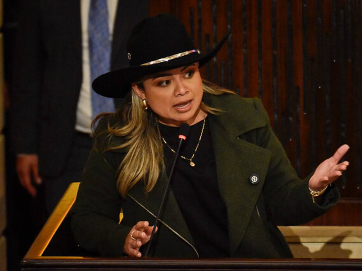 Hay una complacencia a los grupos armados por parte del gobierno Petro: Lina Garrido