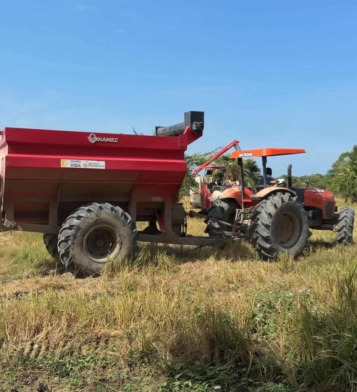 Foto: Alcaldía de Cartagena.