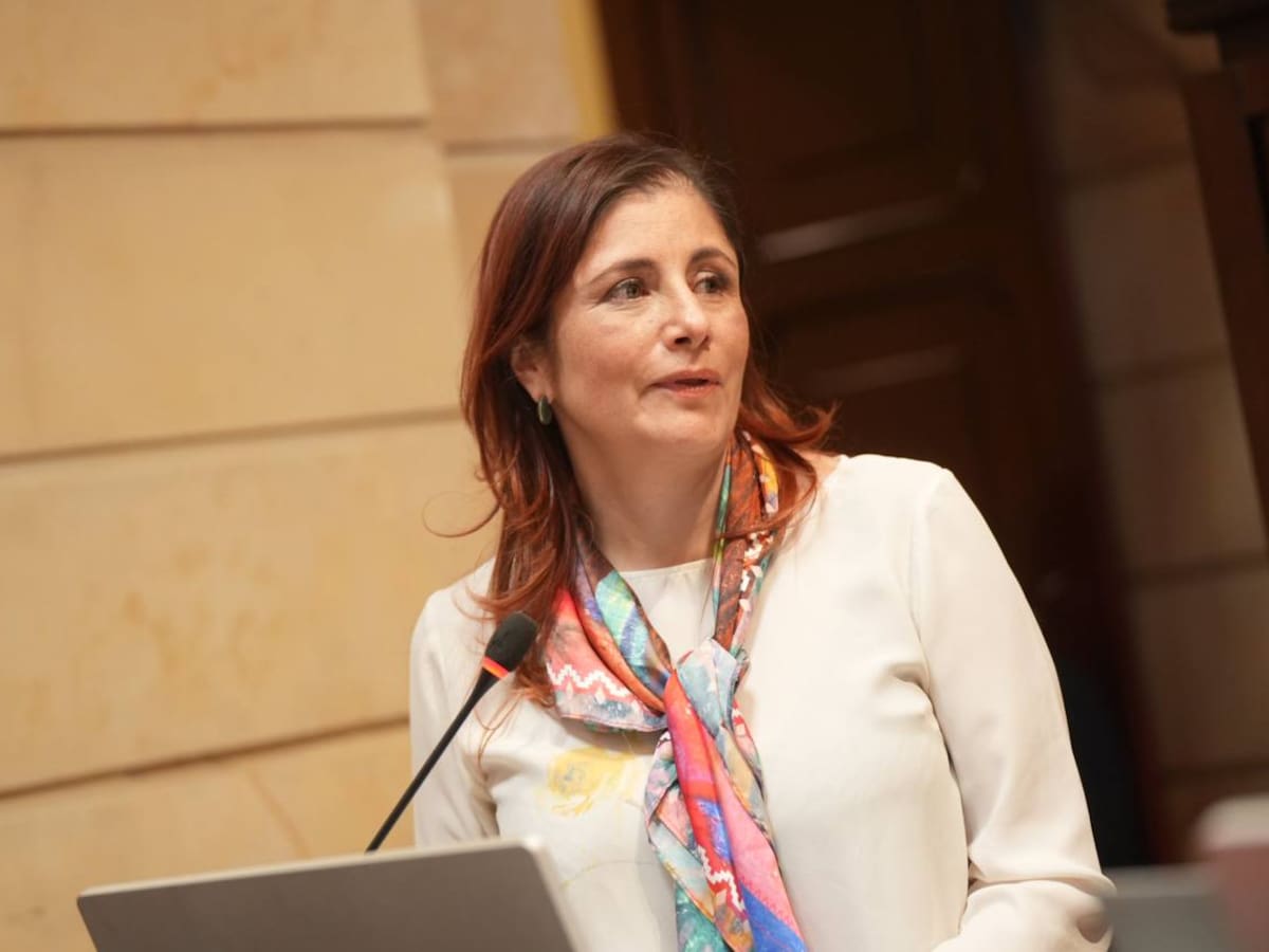 Disidencias Farc son principales responsables de reclutamiento a menores, según la Defensora Marín