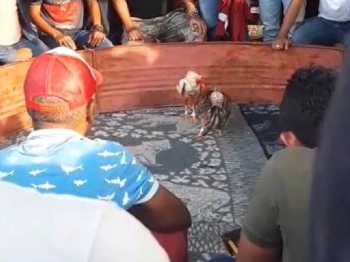 Las fiestas y el consumo de alcohol son constantes en el Bajo Cauca