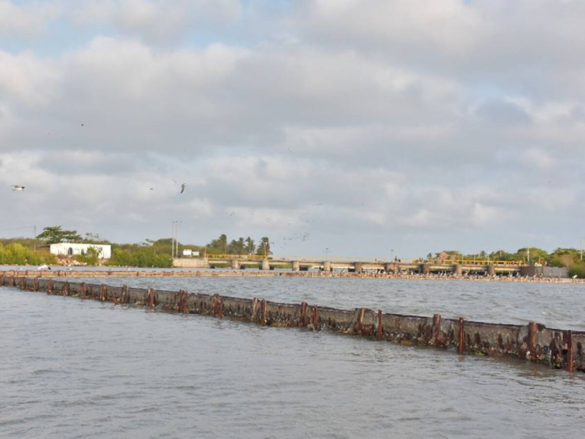 Abrieron convocatoria para relimpiar La Bocana en Cartagena