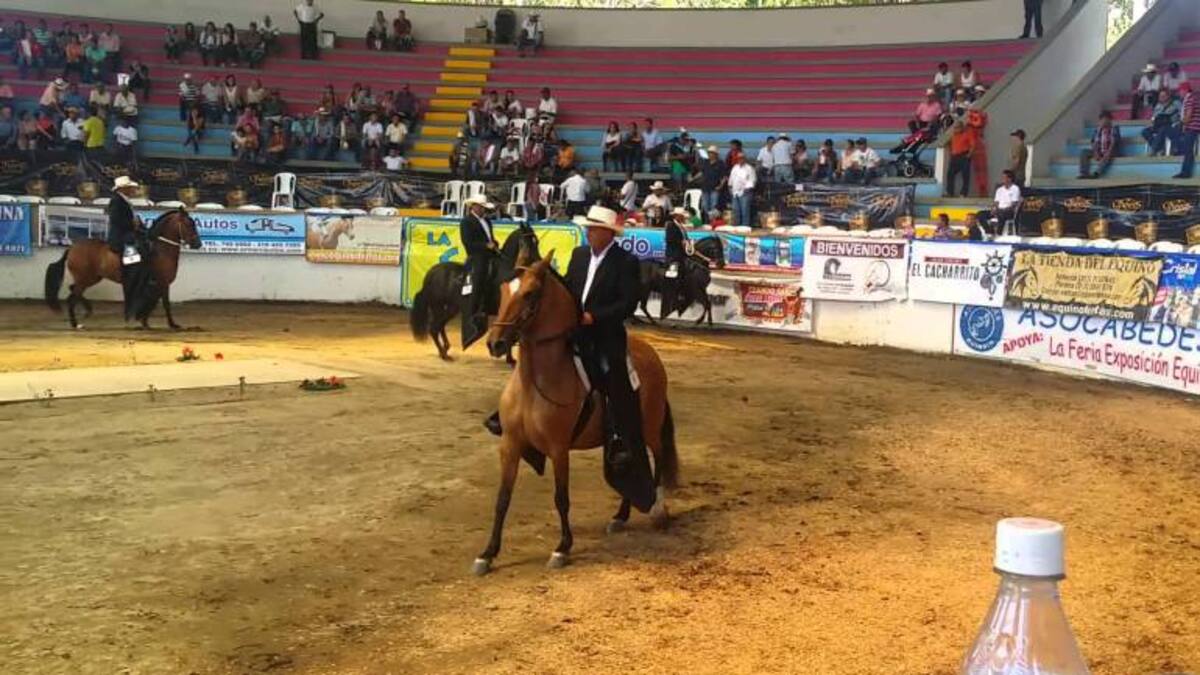 300 Ejemplares se esperan en la exposición equina grado A en Cenexpo en Armenia