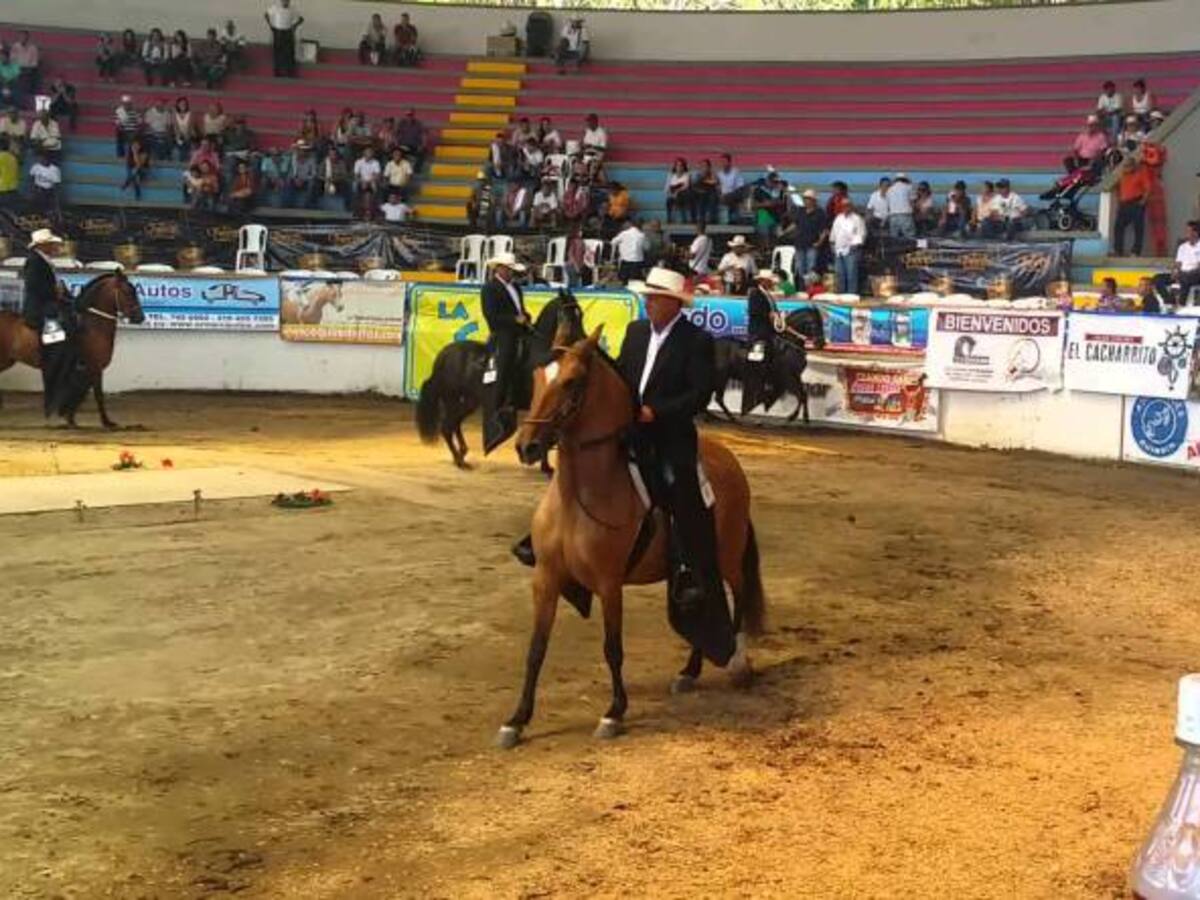 300 Ejemplares se esperan en la exposición equina grado A en Cenexpo en Armenia
