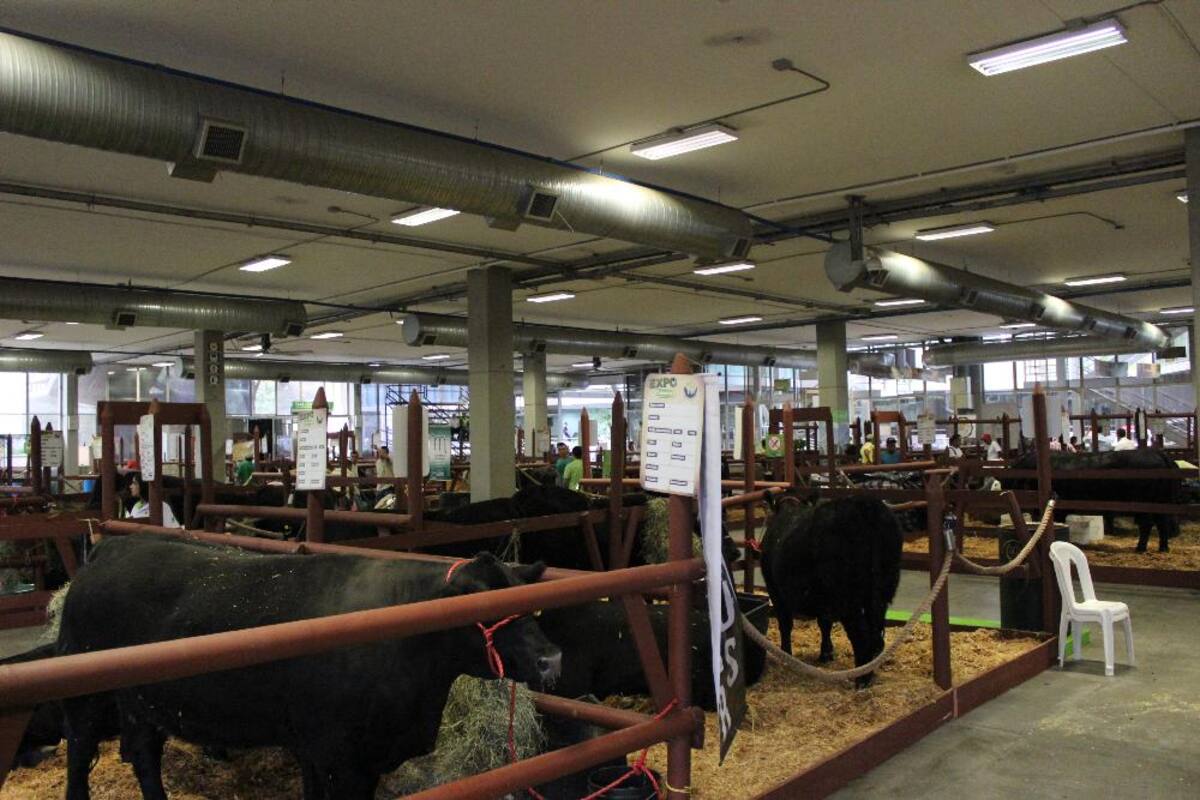 Así va la puesta en marcha de Expocolanta 2014