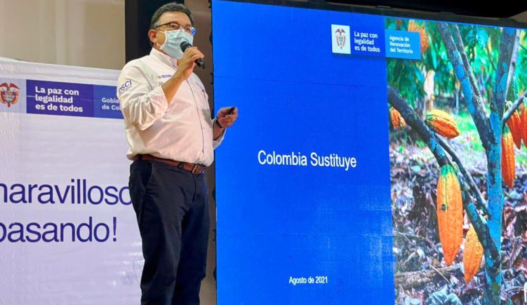 200 hectáreas de coca son sustituidas por cacao y plátano en el sur de Bolívar