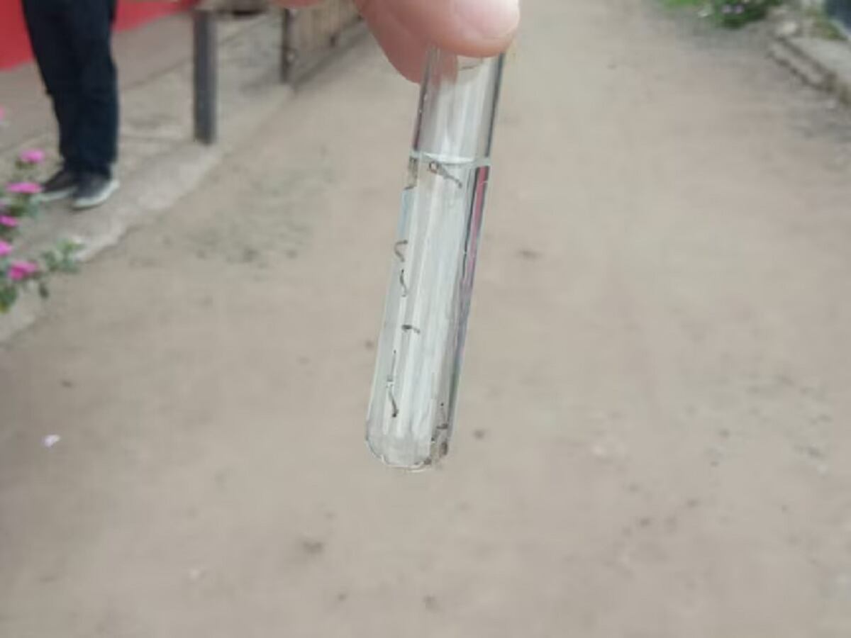 Crédito: Suministrada.