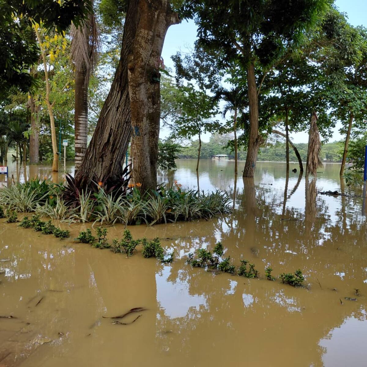 El río Sinú se desbordó y afecta parte de un atractivo turístico de Montería