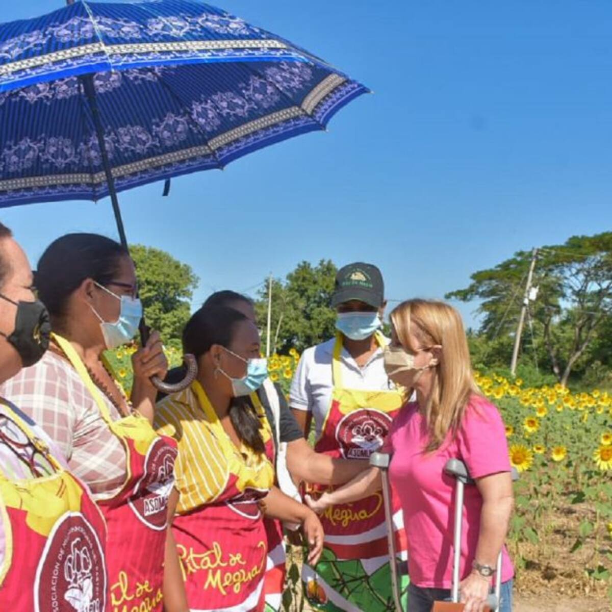La Ruta del Girasol recibió este fin de semana a 6.000 visitantes