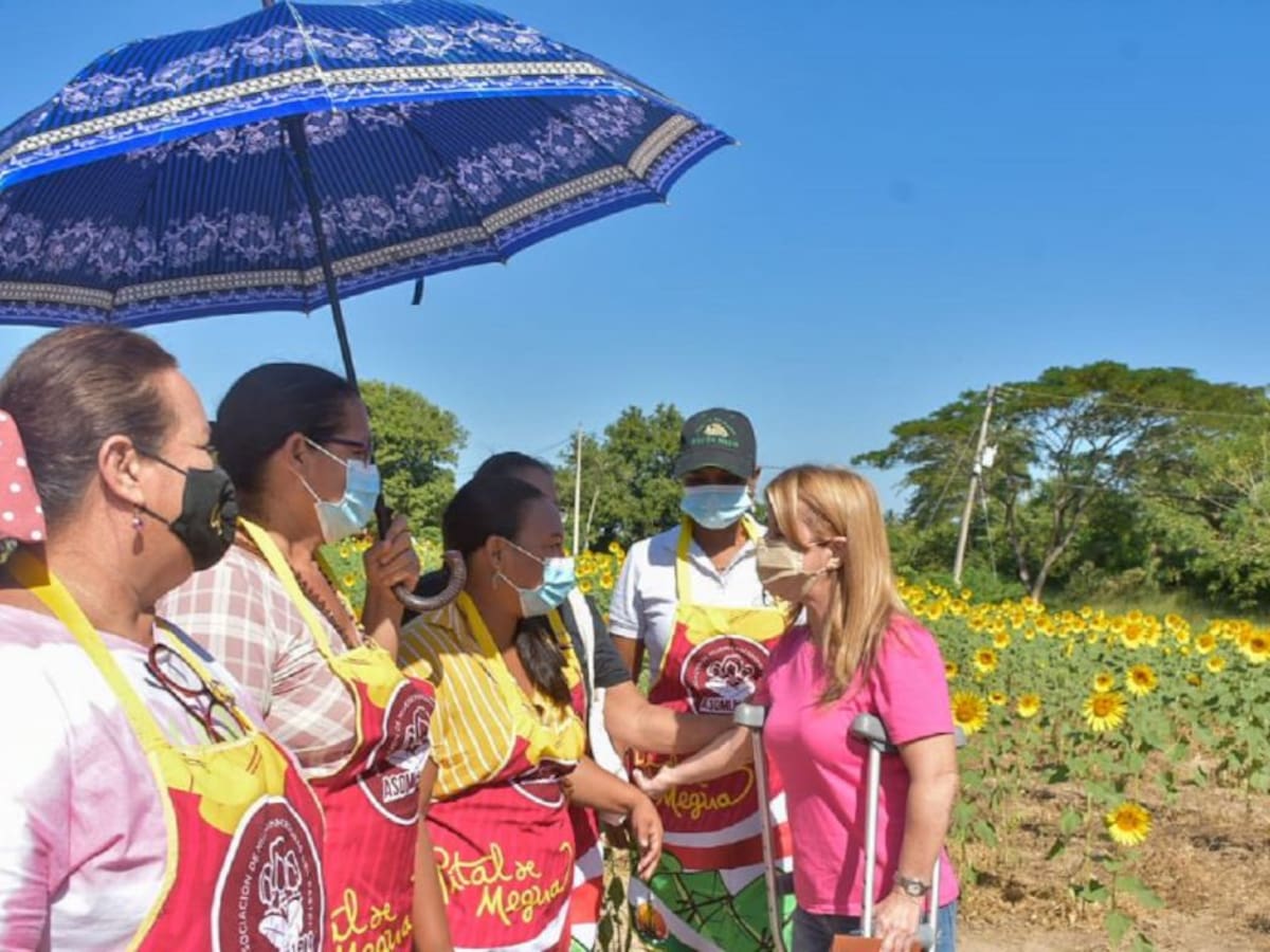 La Ruta del Girasol recibió este fin de semana a 6.000 visitantes