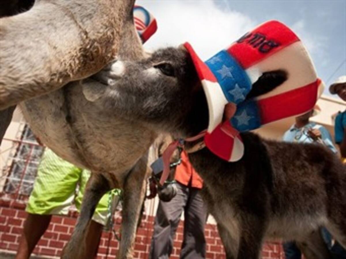Habitantes de Turbaco le regalarán un burro al presidente Barack Obama