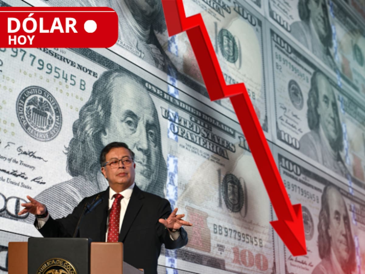 Precio del dólar HOY 10 de febrero en Colombia: ¡Continúa a la baja!