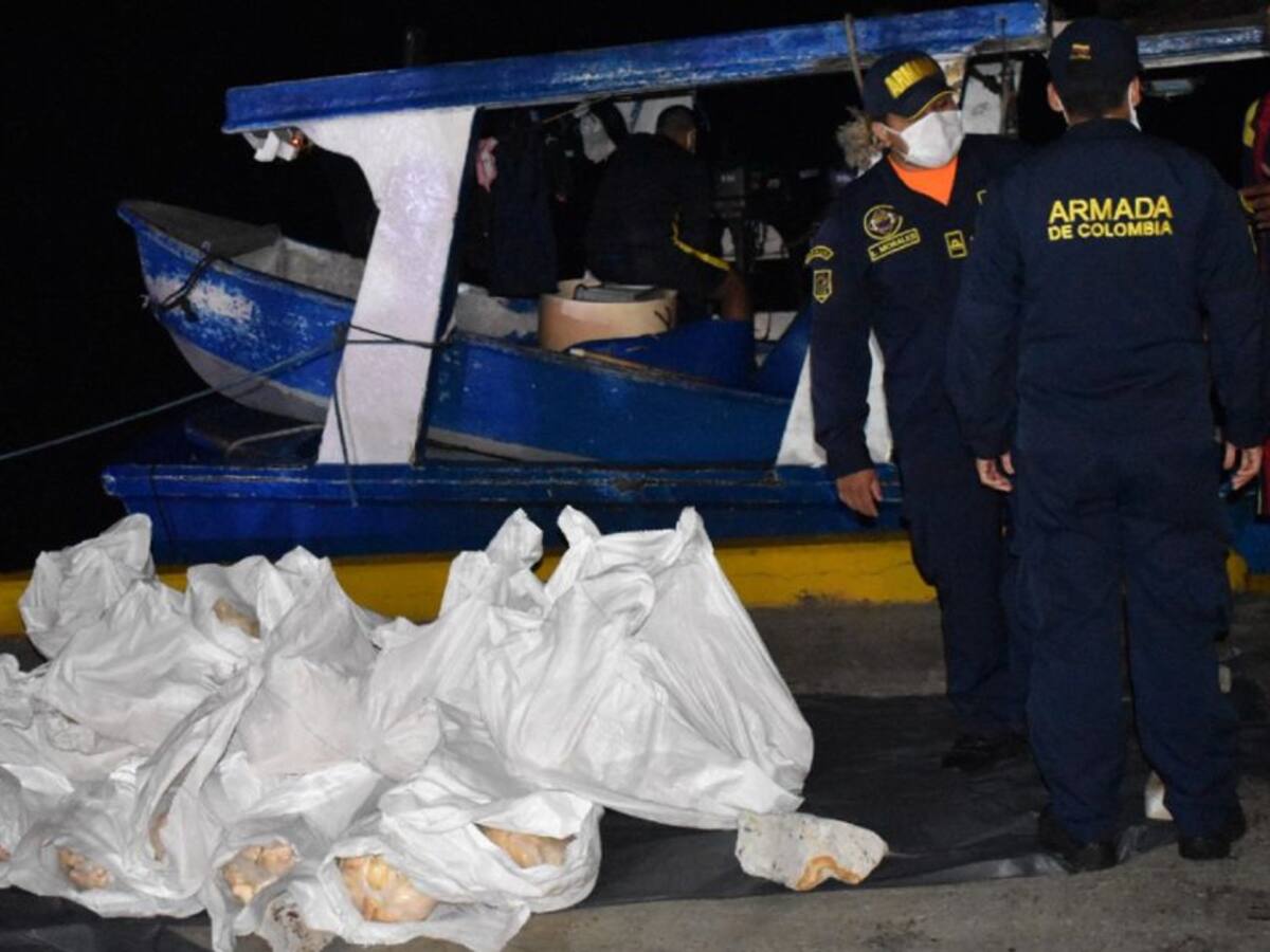 Incautan dos toneladas de caracol pala, especie protegida en San Andrés