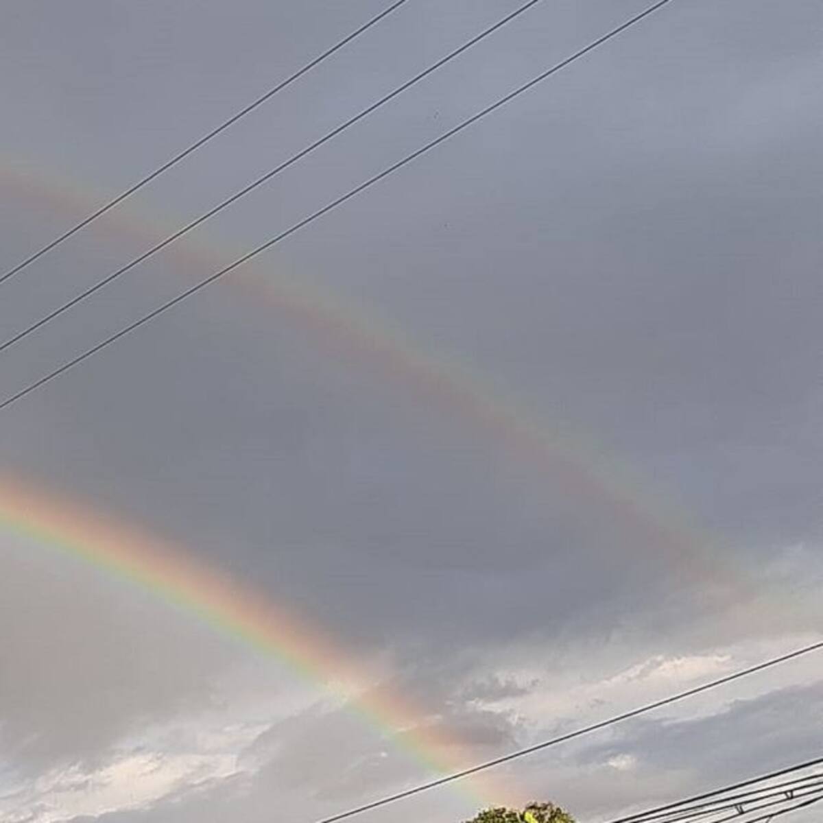 Martes 10 de noviembre, las noticias más importantes de Armenia y Quindío