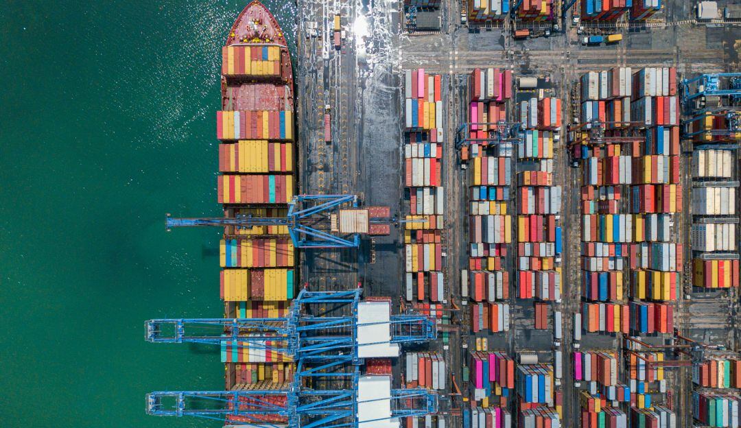 Imagen de referencia