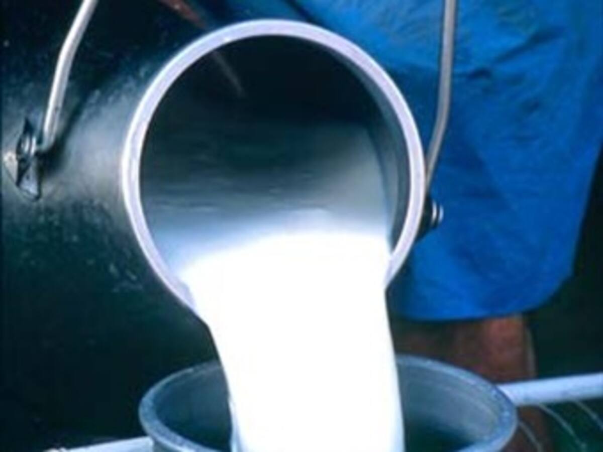 Gobierno aprueba Conpes a favor de los lecheros
