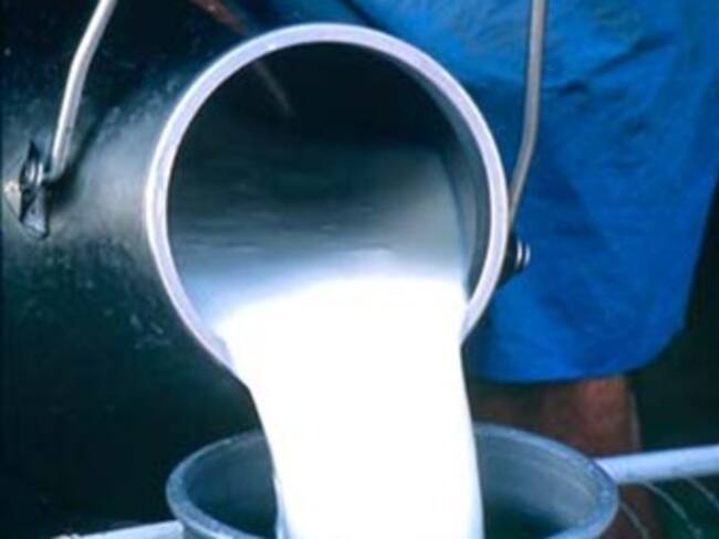 Gobierno aprueba Conpes a favor de los lecheros