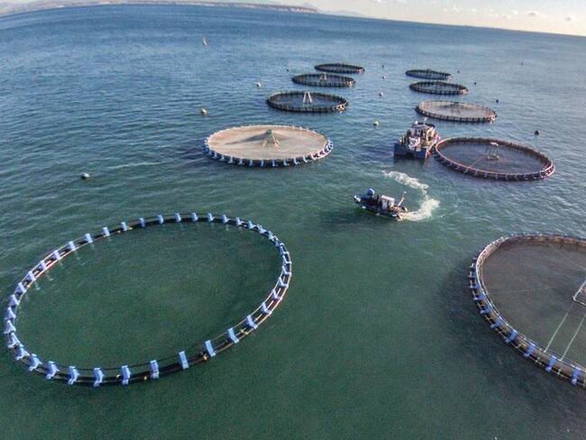 El Noveno Congreso Académico atendrá exponentes de varios países del mundo.