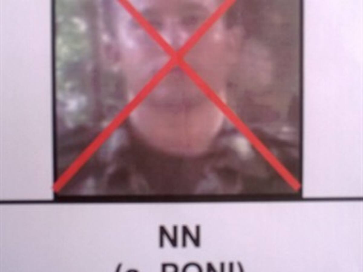 Muere alias Poni en bombardeo de Arauca