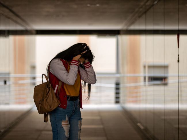 La contaminación afecta la salud mental infantil, pero los espacios verdes son su refugio: estudio
